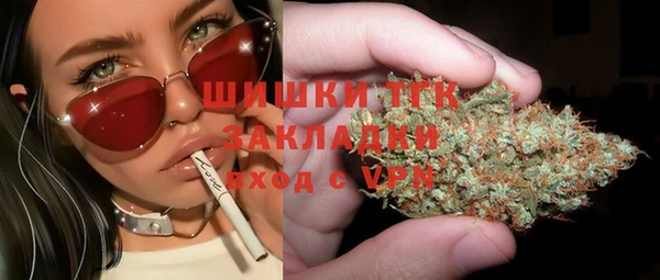 PSILOCYBIN Бородино