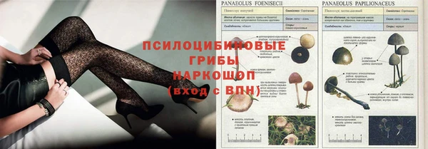 PSILOCYBIN Бородино