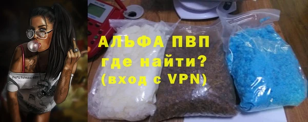 PSILOCYBIN Бородино
