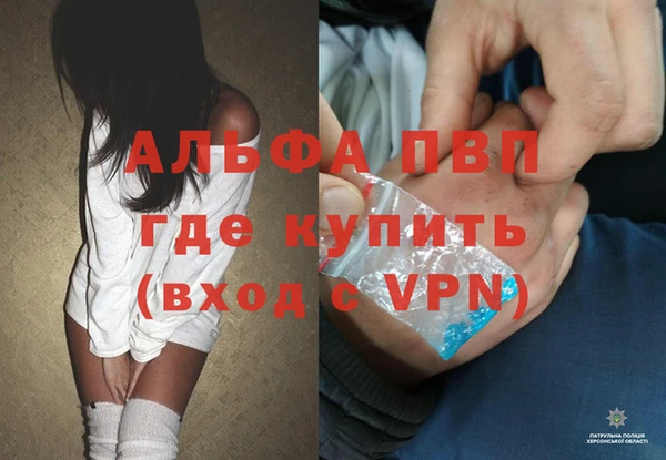 PSILOCYBIN Бородино