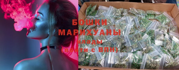 PSILOCYBIN Бородино