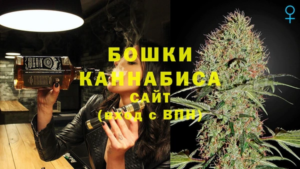 твердый Михайлов