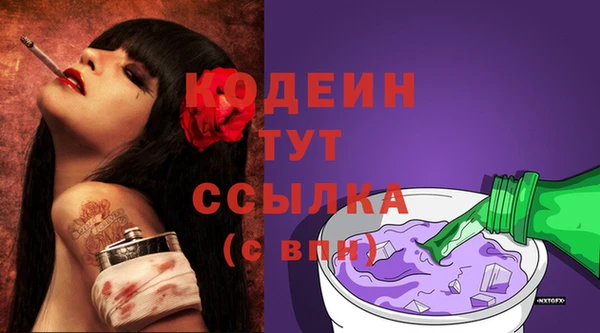 PSILOCYBIN Бородино